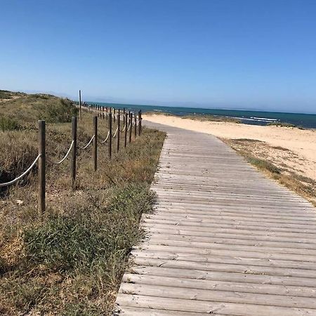 Oasis Beach Dream Holiday Guardamar del Segura Eksteriør bilde